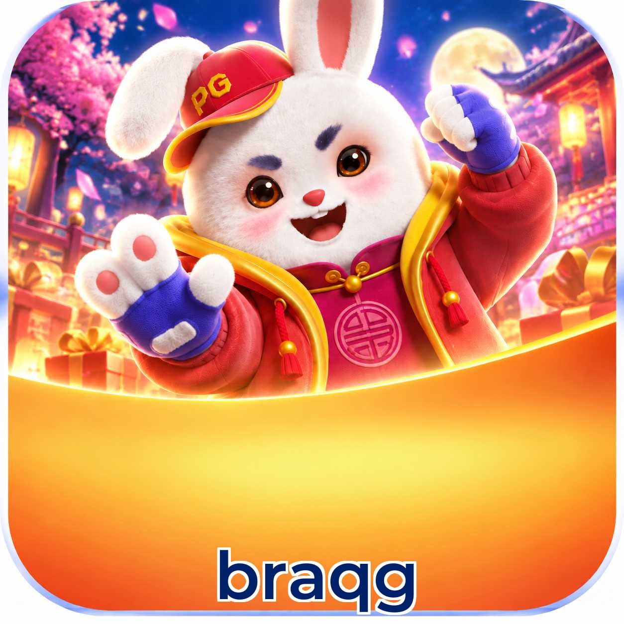 braqg Interface