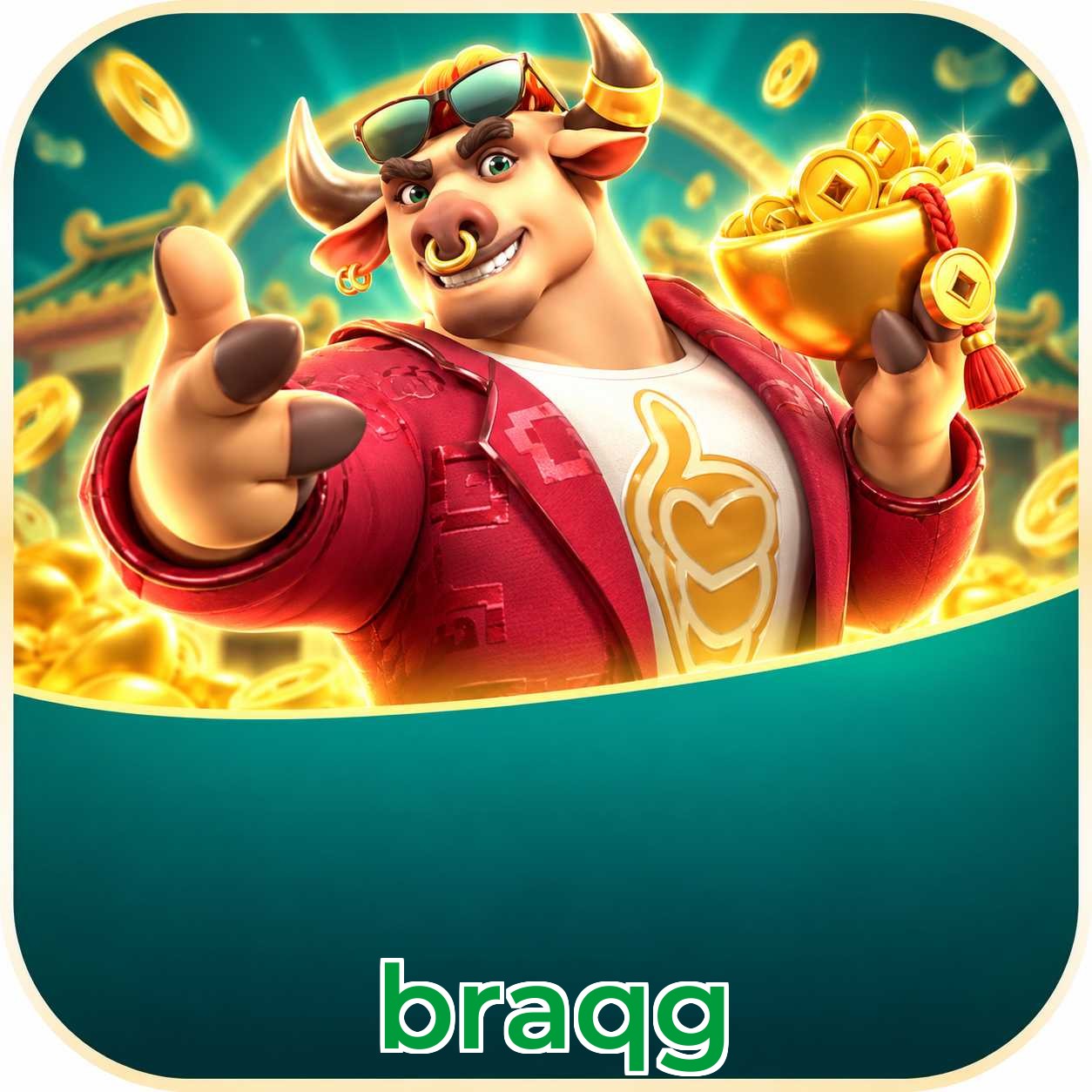 braqg App Features