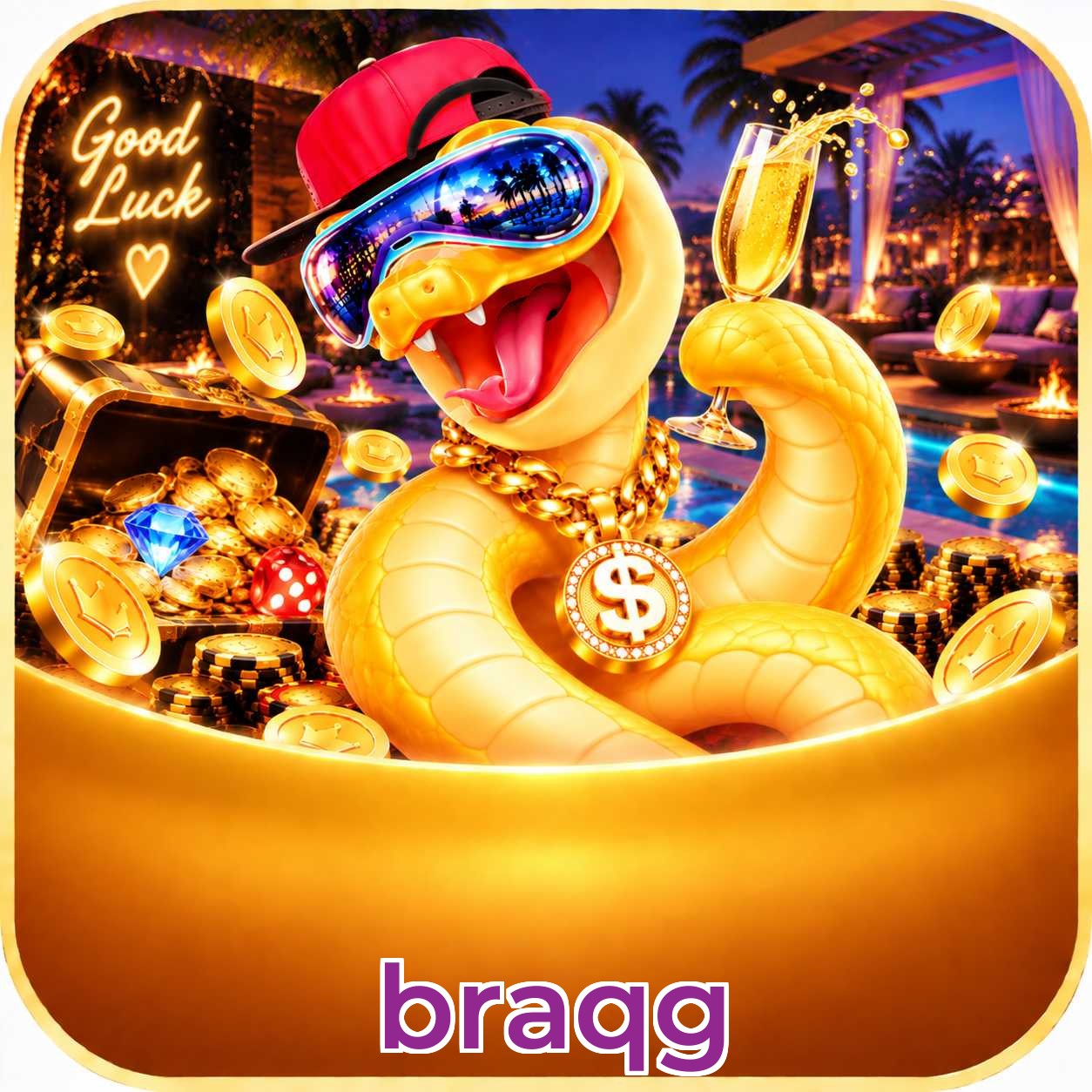 braqg Final Verdict