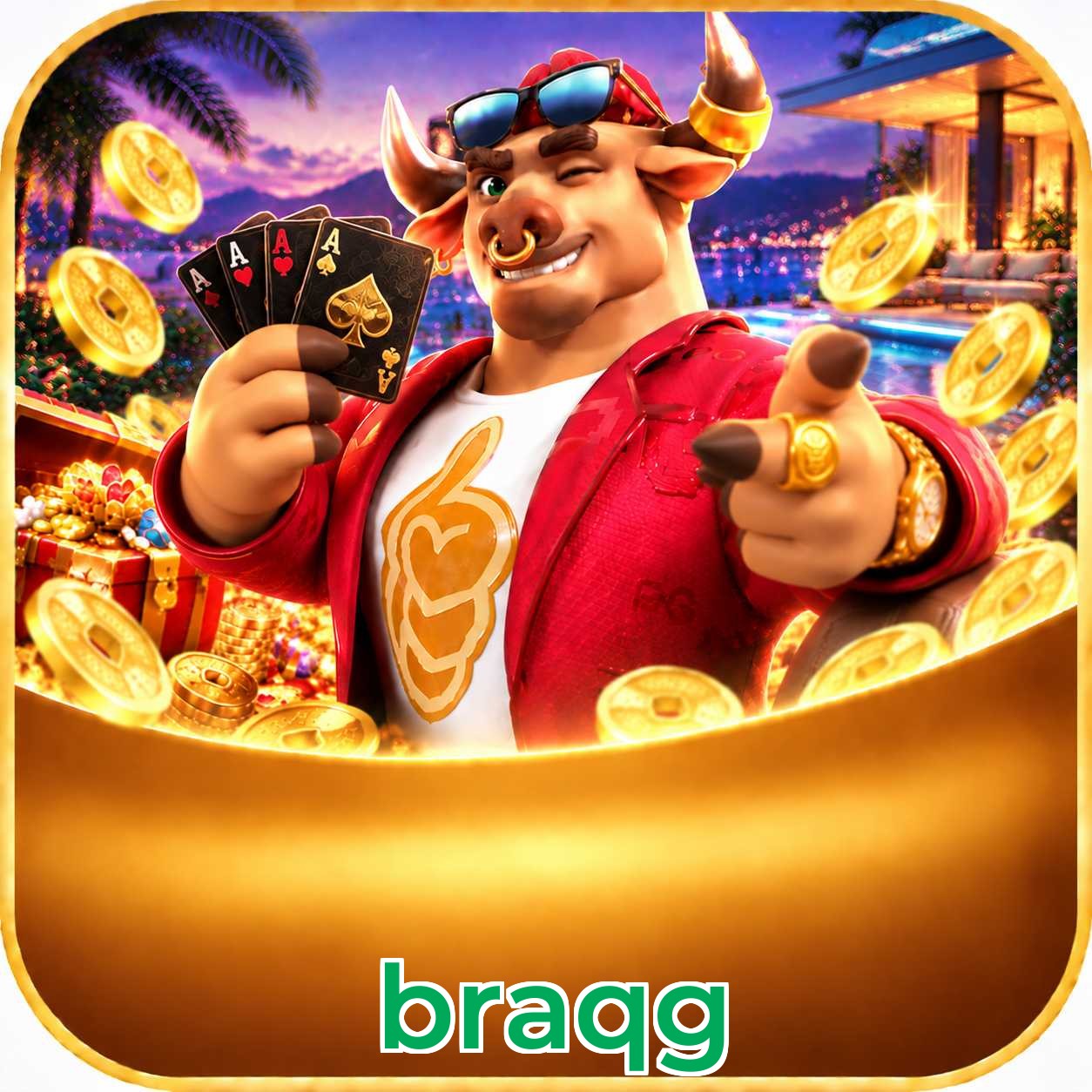braqg FAQ instalar app