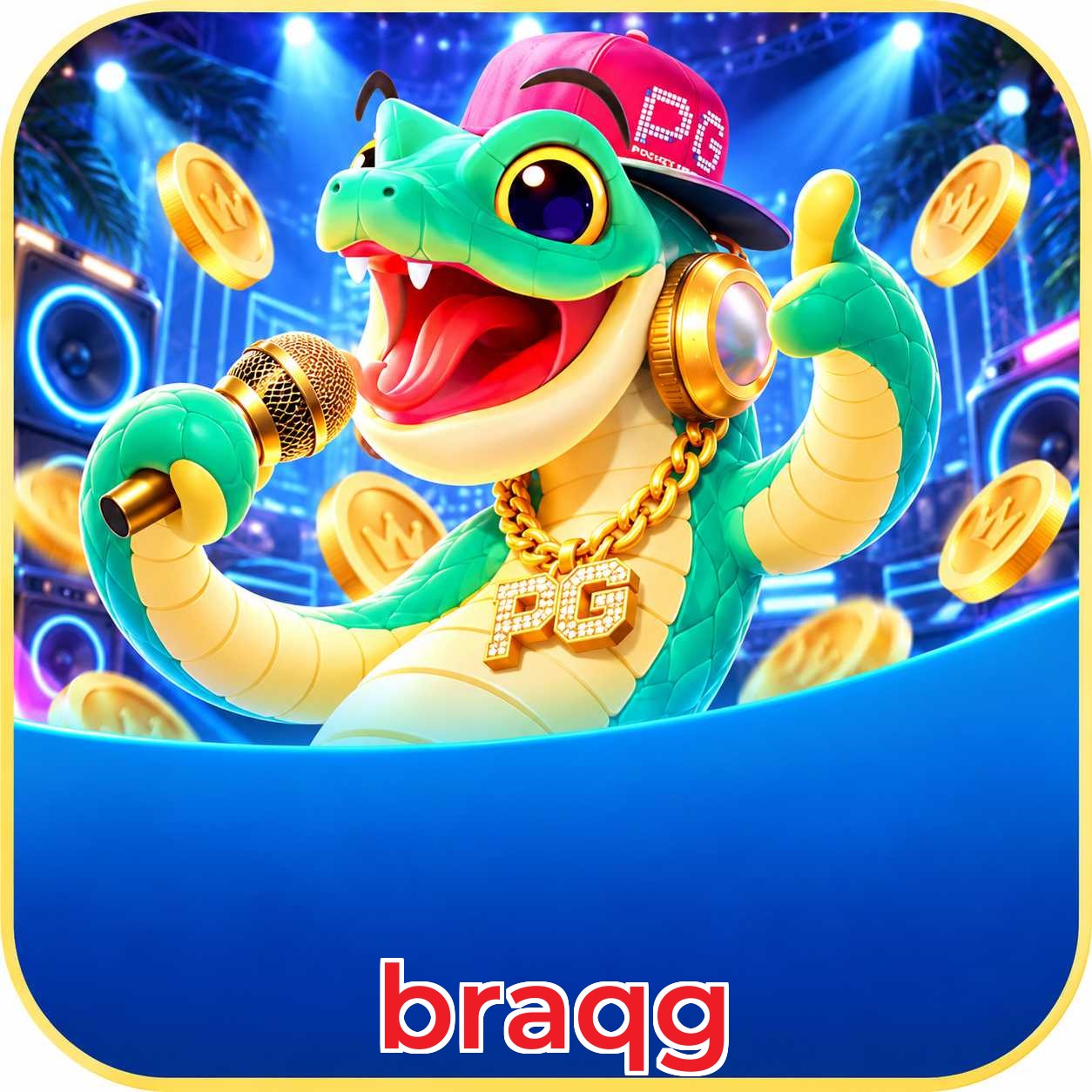 braqg VIP Program