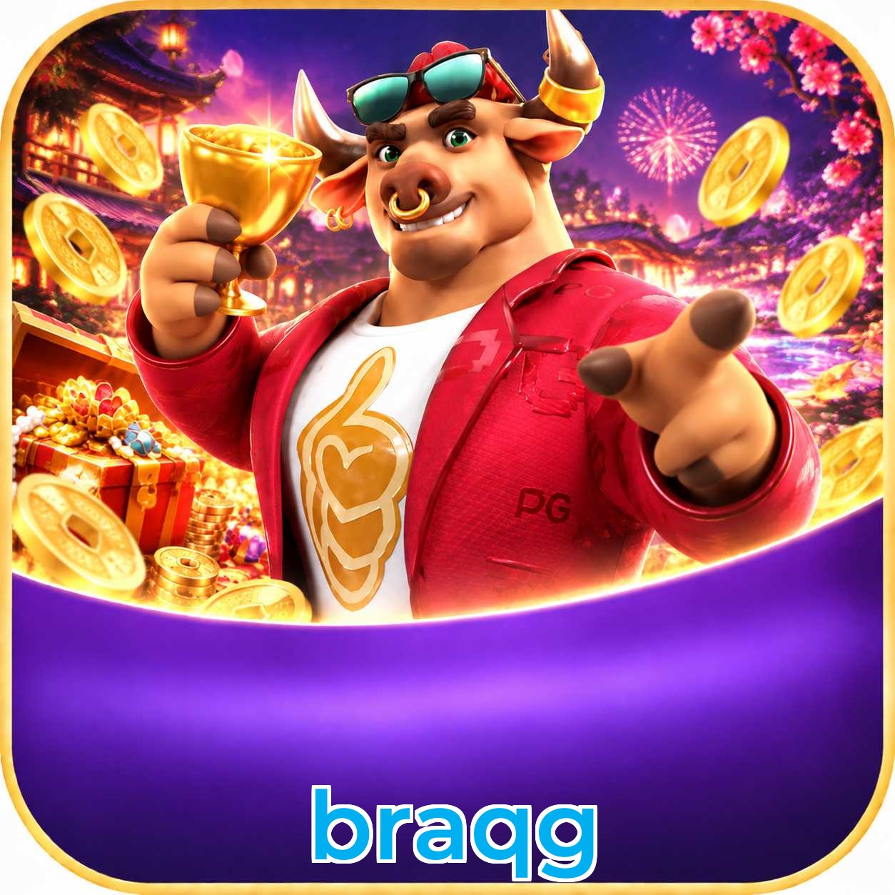 braqg App FAQ
